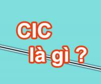 CIC là gì và CIC là tổ chức gì?